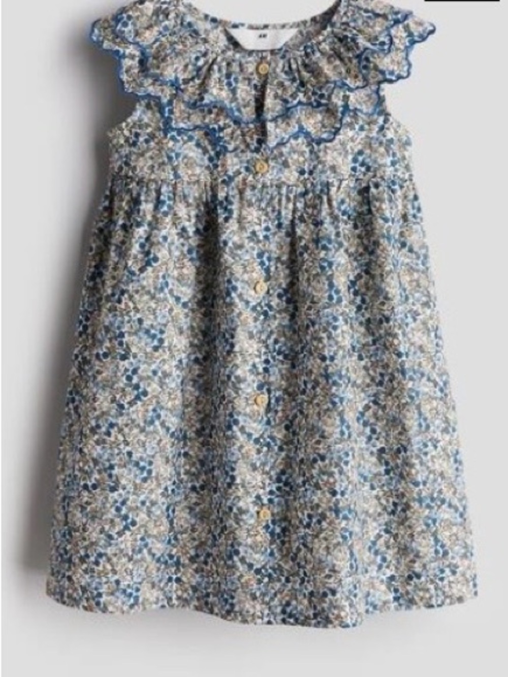 H&M Blue and Beige Floral Ruffle-Trim Button Dress